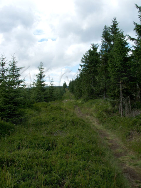 Gelb markierter Wanderweg